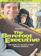Barefoot Executive