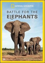 Battle For The Elephants