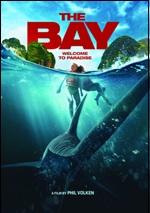 Bay