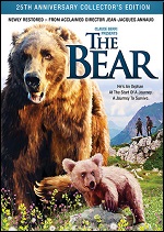 Bear - 25th Anniversary Collectors Edition