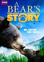 Bears Story
