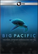 Big Pacific