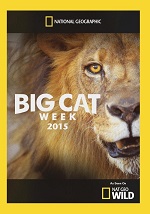 Big Cat Week 2015