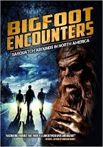 Bigfoot Encounters - Sasquatch Abounds In North America