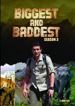 Biggest And Baddest: Season 3