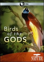 Birds Of The Gods