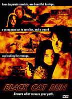 Black Cat Run
