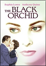 Black Orchid