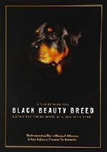 Black Beauty Breed