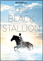 Black Stallion