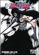 Bleach - Set 22
