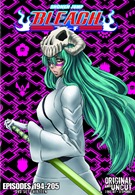 Bleach - Set 13