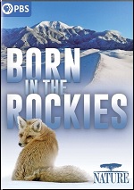 Born In The Rockies
