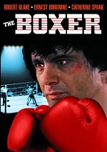 Boxer