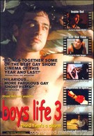 Boys Life - Vol. 3