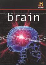 Brain