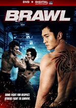 Brawl
