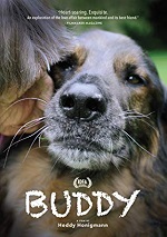 Buddy
