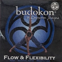 Budokon By Cameron Shayne - Flow & Flexibility
