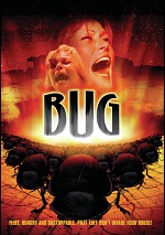 Bug