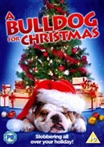 Bulldog For Christmas