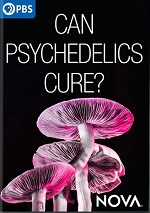 Can Psychedelics Cure?
