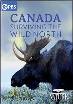 Canada - Surviving The Wild North