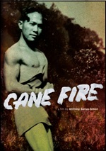 Cane Fire