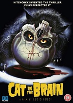 Cat In The Brain
