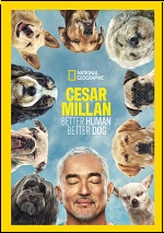 Cesar Milan: Better Human Better Dog