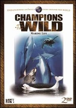 Champions Of The Wild - Marine Life
