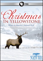 Christmas In Yellowstone