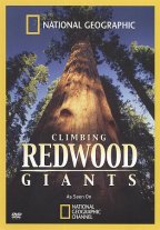 Climbing Redwood Giants