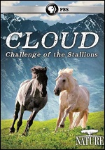 Cloud: Challenge Of The Stallions