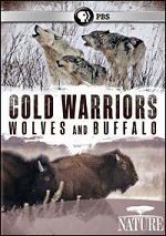 Cold Warriors - Wolves And Buffalo