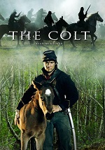 Colt