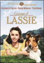 Courage Of Lassie