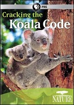 Cracking The Koala Code