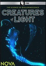 Creatures Of Light