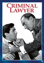 Criminal Lawyer