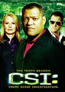 CSI: Crime Scene Investigation - The Tenth Season