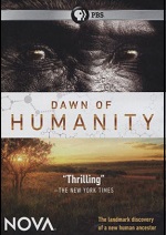 Dawn Of Humanity