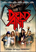 Dead Ant