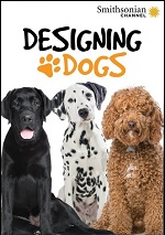 Designing Dogs