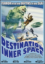 Destination Inner Space