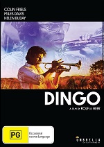 Dingo