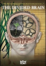Divided Brain