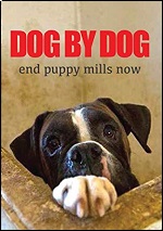 Dog By Dog