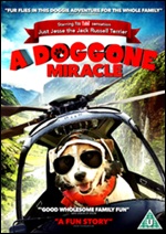 Doggone Miracle