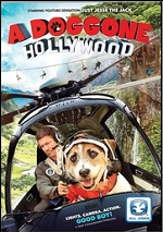 Doggone Hollywood
